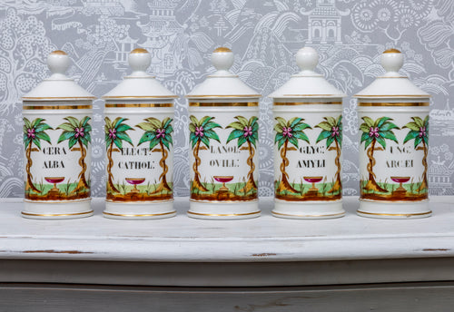 A beautiful set of five painted porcelain pharmacy jars with lids, French 19th Century